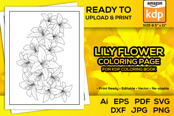 Lily Flower Coloring Pages for Kdp Book: A Creative and Versatile Option